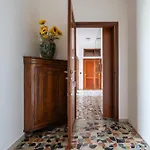 Family Comfort Sole Apartment